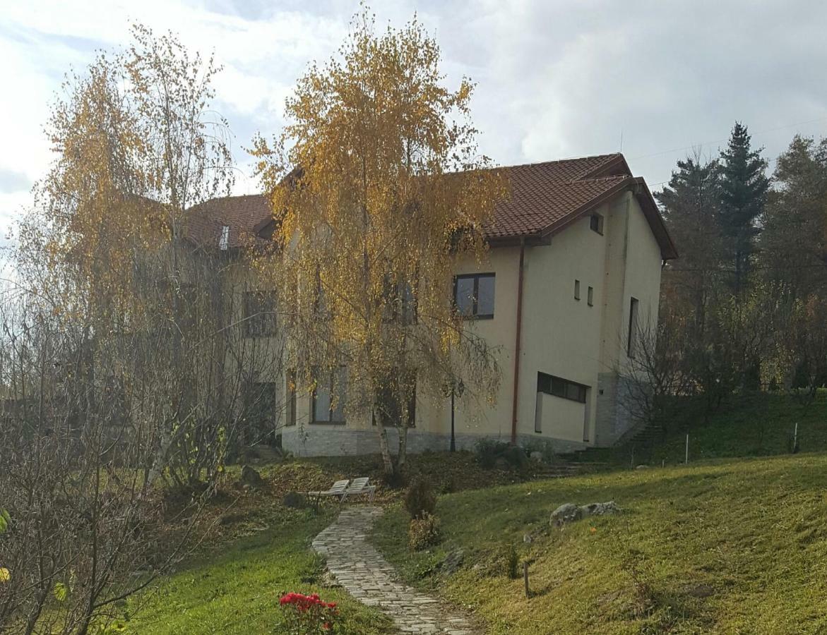 Trovanti Apartment Feleacu Eksteriør billede